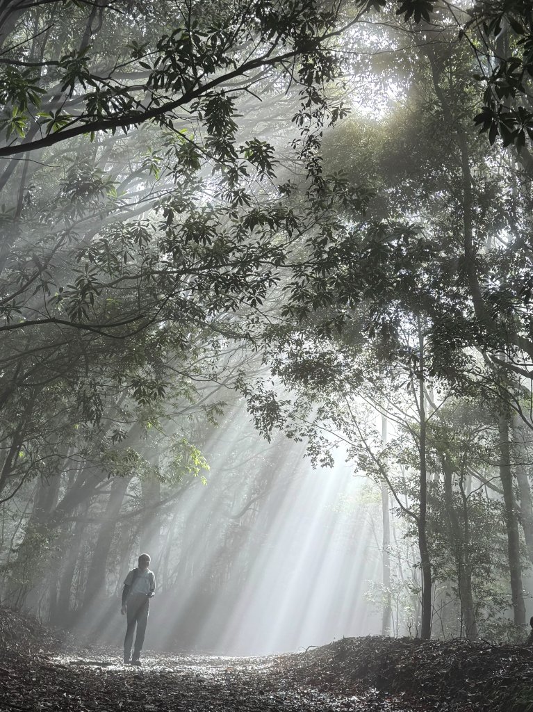 司馬限林道 訪 北坑駐在所_2811063