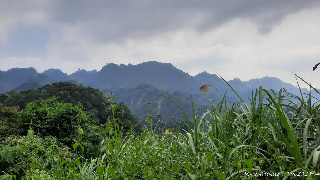 《台中》觀九九峰｜霧峰青桐林生態步道群20251109封面圖