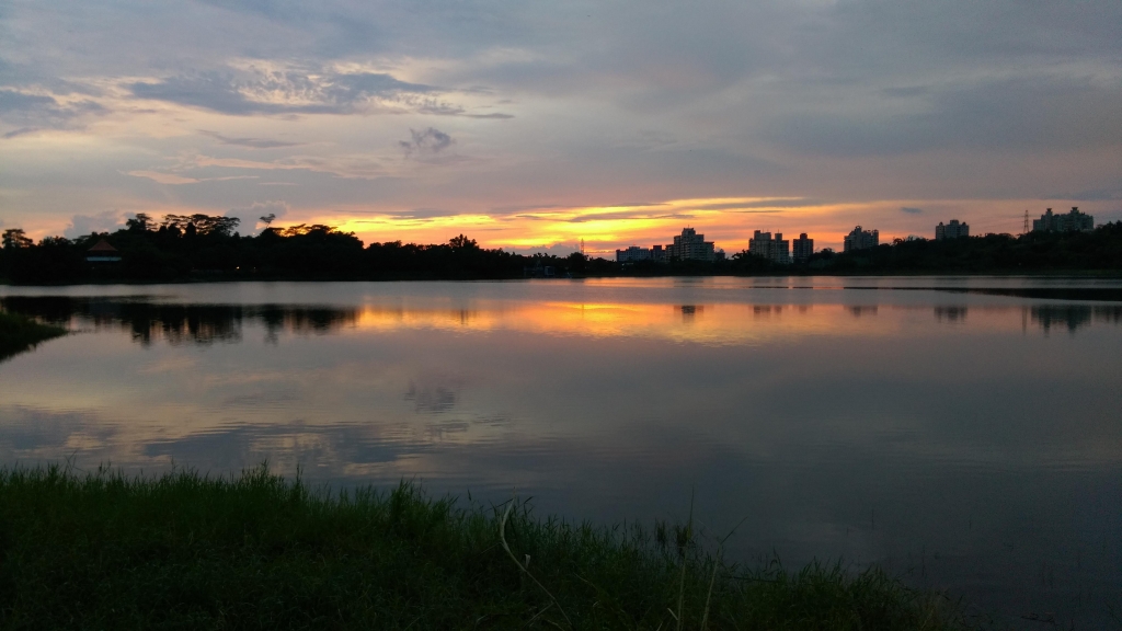 諸羅八景之首~紅毛埤夕照_54572