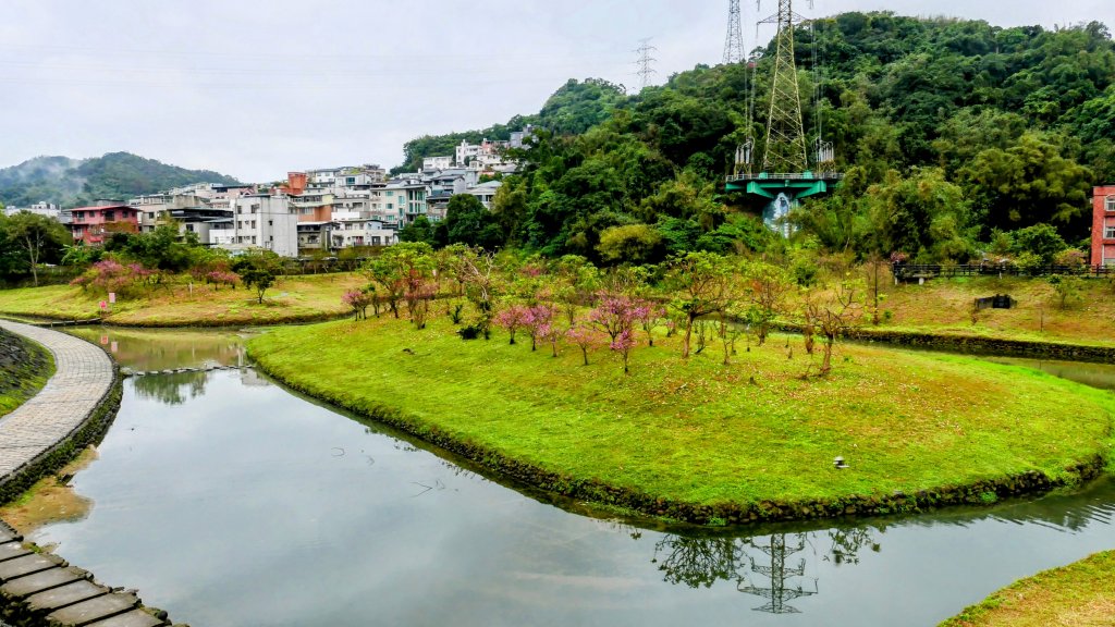 《青玉案・樂活櫻雲照水》_2709206