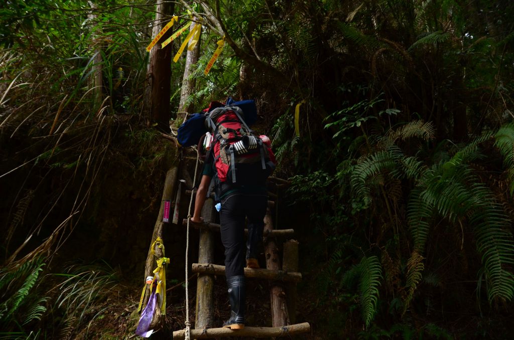 2018.01 水樣森林+鹿屈山+眠月神木_269527