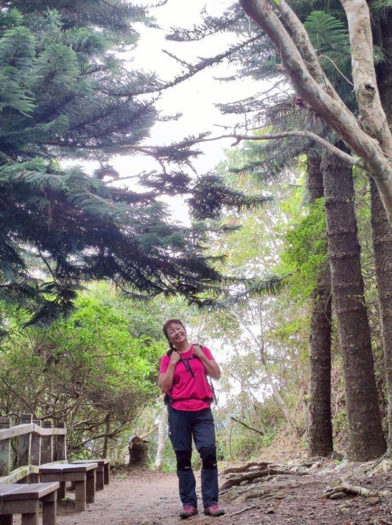 馬那邦山（珠湖登山口）_2933931