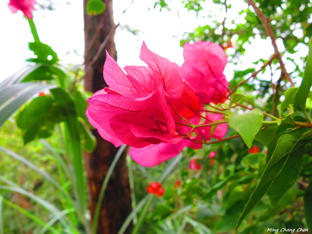 【山岳之美】~象山_5890