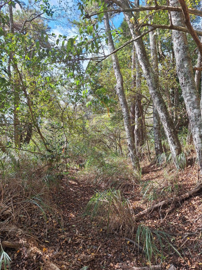 雪見駐在所+雪見山20251225_2971672