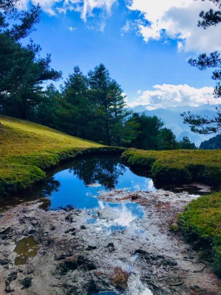 1061231麟趾山.鹿林山封面圖