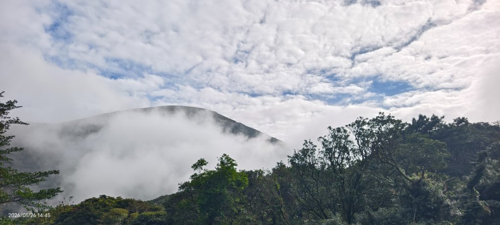 陽明山趴趴走追雲趣 #雲海 #琉璃光 1/26 認得幾個拍照地點共15個_2988771