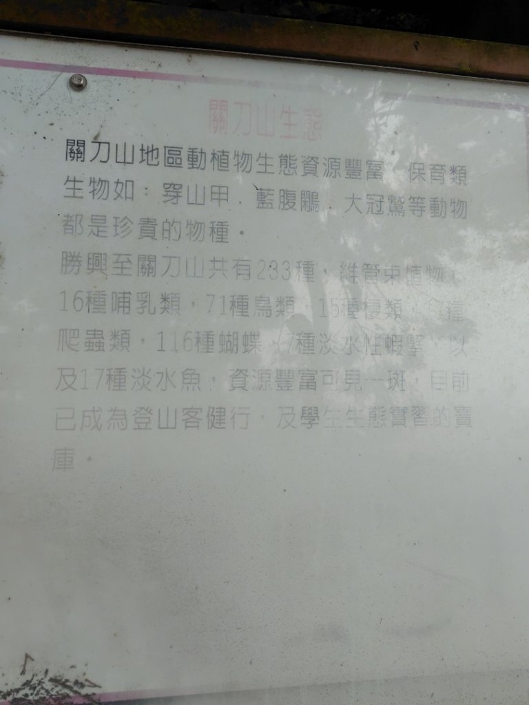 苗栗關刀山_2975071