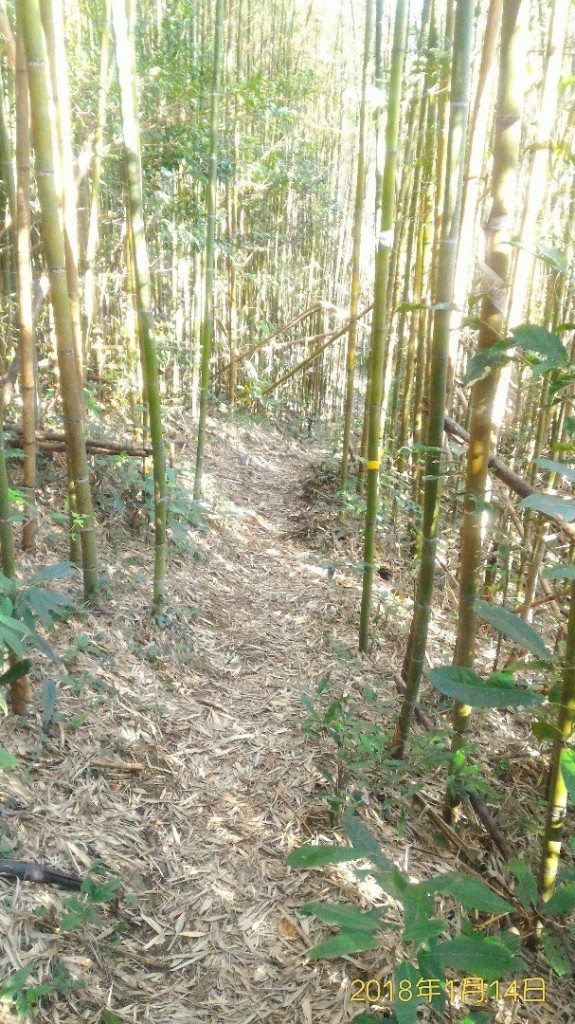 大棟山+大混山封面圖