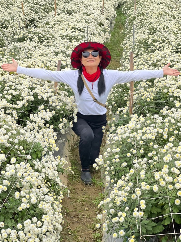 小百岳關刀山889m+銅鑼杭菊_1924079