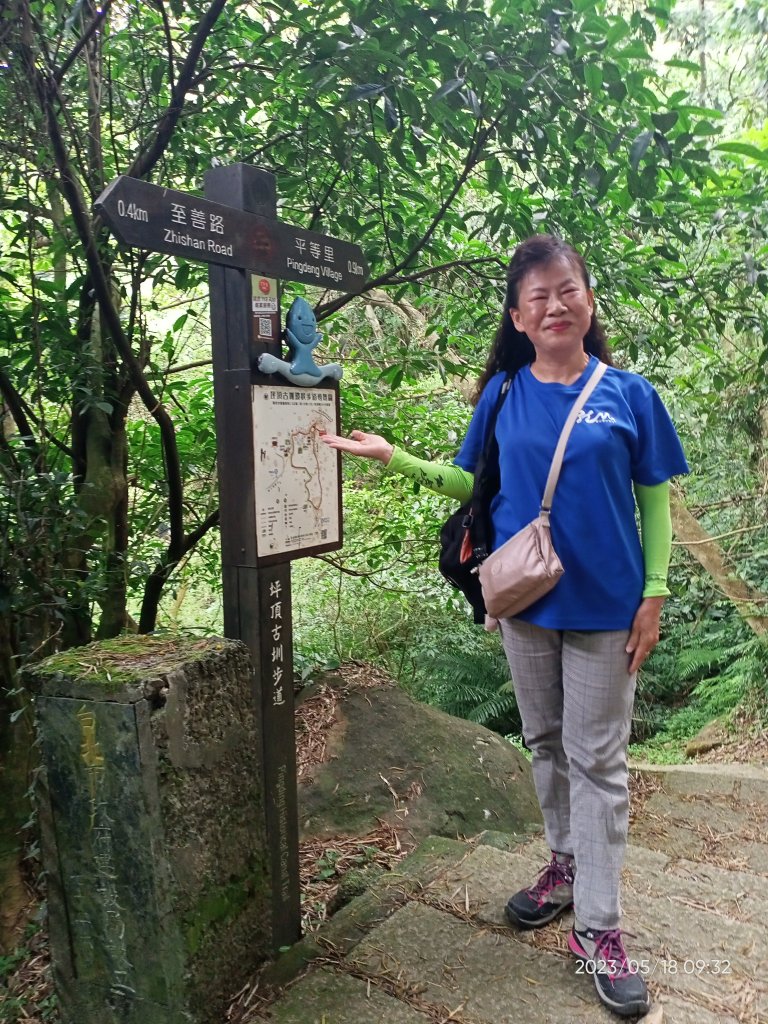 流水淙淙的坪頂古圳環狀步道→清風亭→大崎頭步道【走遍陽明山】_2156307