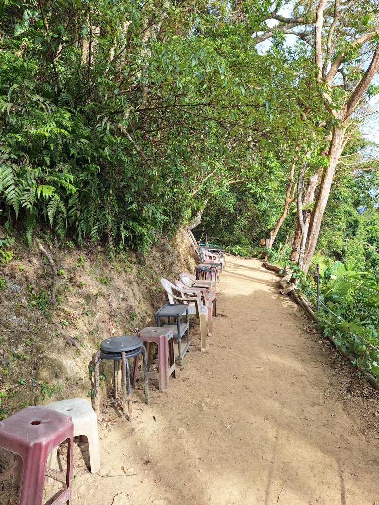 頭寮山+總督府步道+舊百吉隧道O型20241210_2667913