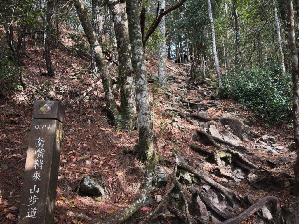 鳶嘴山上的瘦稜_2983870