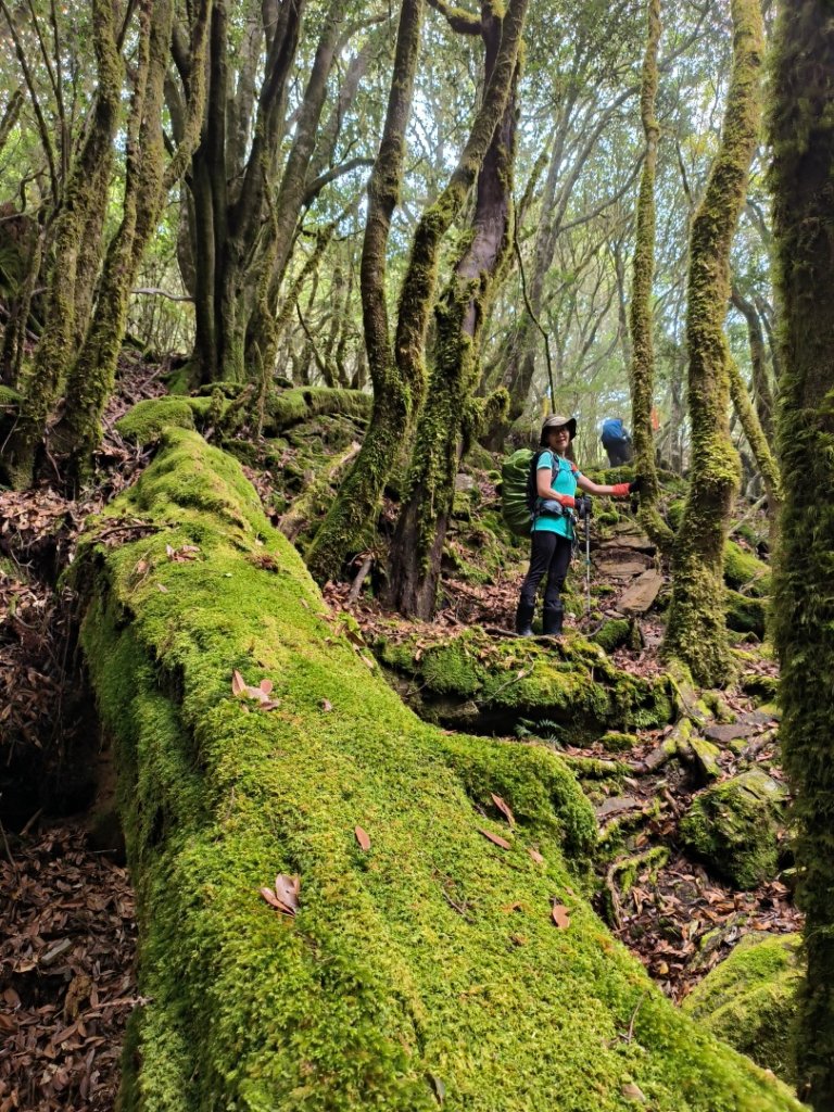 20221105~06 石山秀湖二天一夜_1902502