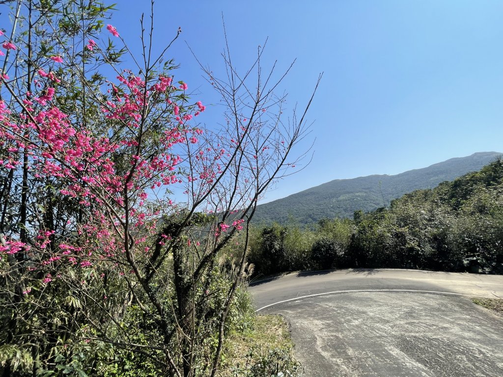 貢寮大嶺古道登桃源谷 淡蘭古道_1956138