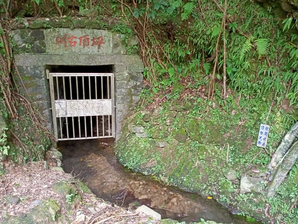 輕鬆漫步坪頂古圳步道→清風亭→大崎頭步道→聖人瀑布→士林官邸公園封面圖