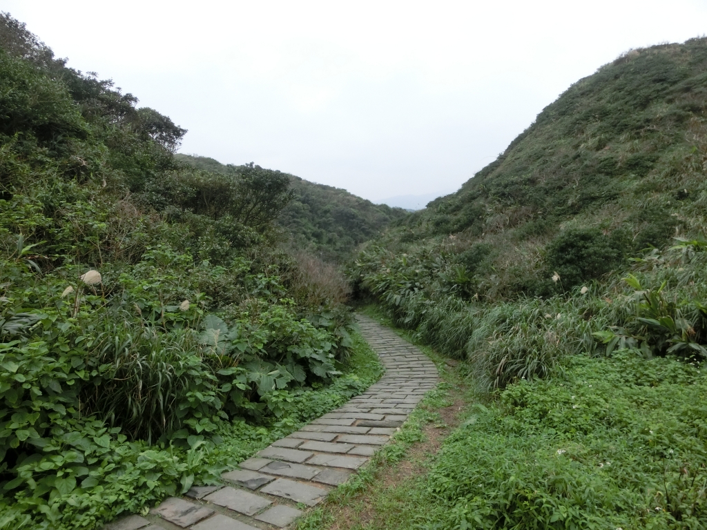 八斗子潮境公園．望幽谷_91709