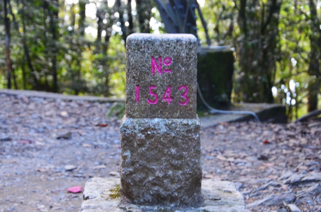 稍來山 & 分桂林山_1923201