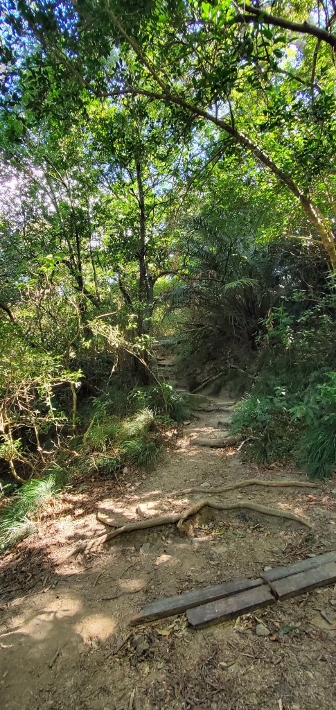 2023-01-27里龍山自然步道_2011086