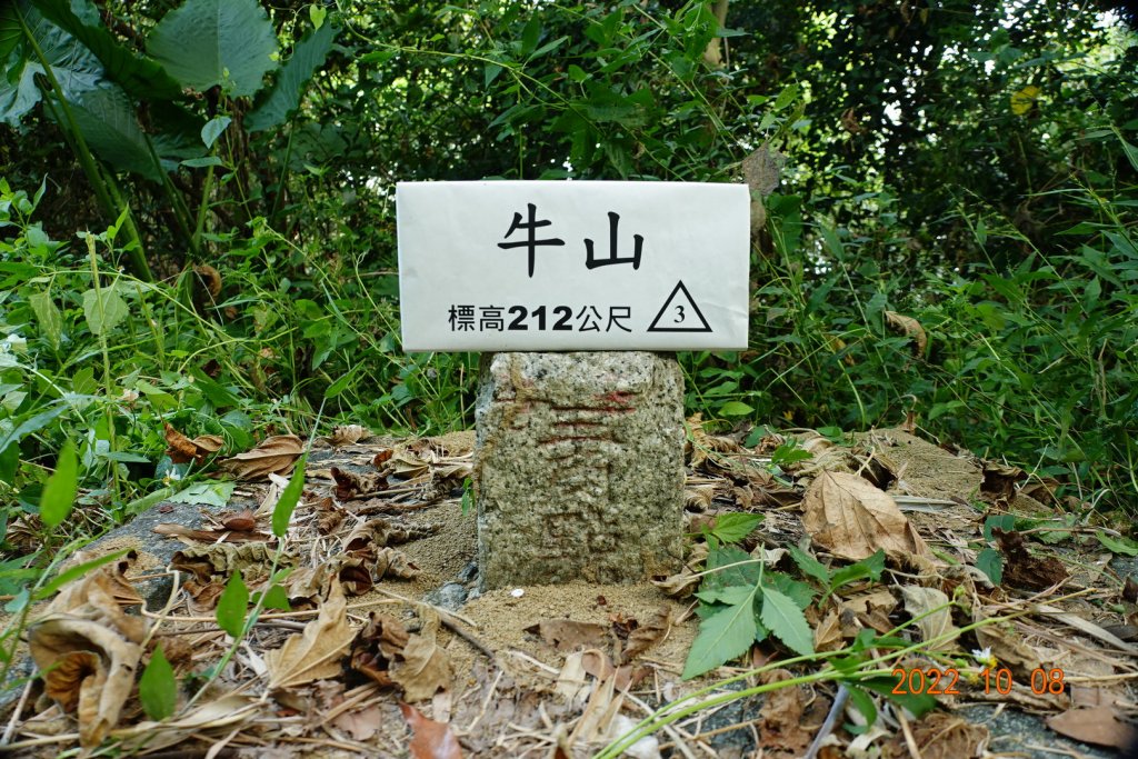 臺南 東山 牛山封面圖