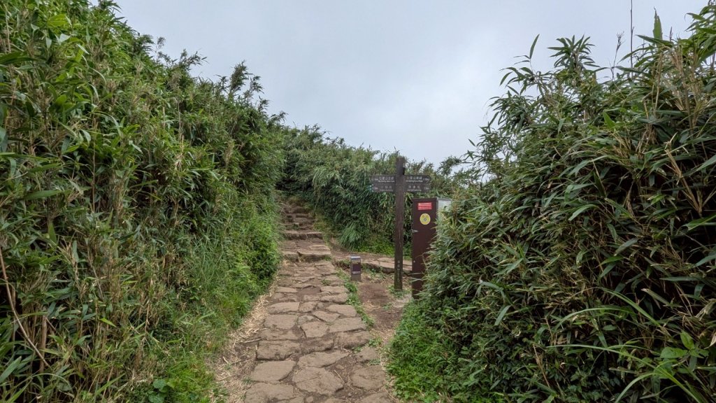 114.07.13三進三出七星山之旅_2837161