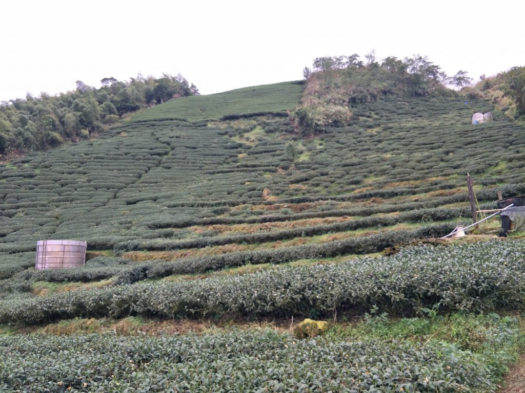 雲嘉七連峰_1560692