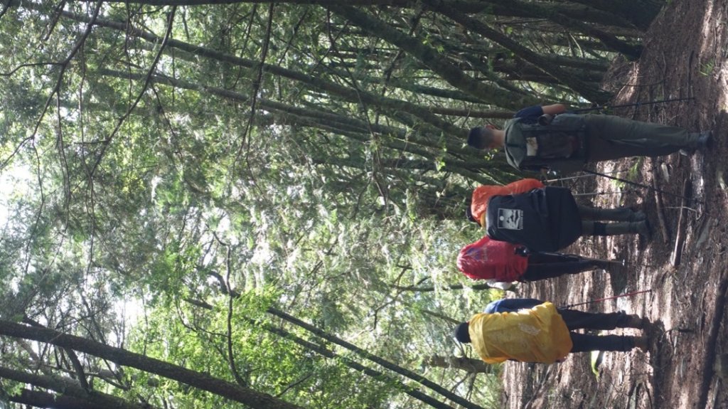 雙龍林道上巒安堂西巒大山_1778974