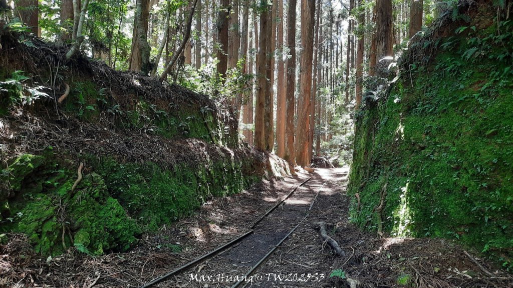 《苗栗》遺世鐵道｜悠遊加里山大坪支線至避難山屋20250822_2867720