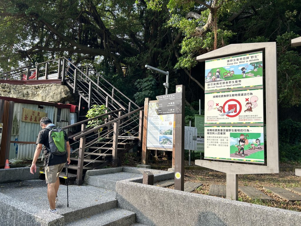 北柴山登山步道_2909283