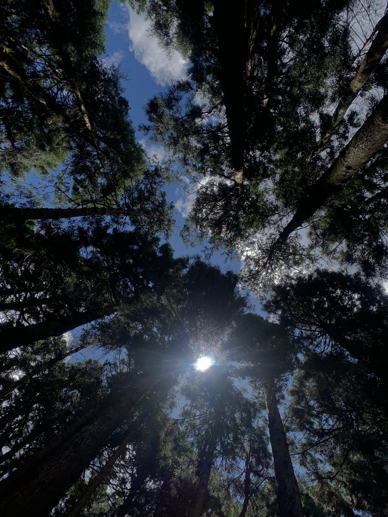 20250517義義兒玉山-東水山_2791637