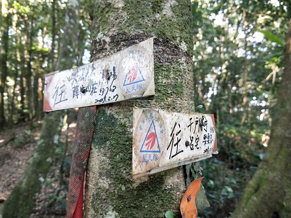 202009 組合山，雲森四瀑_1105974