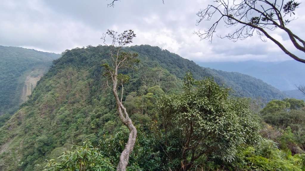 橫屏山/舊武界越山大O繞七連峰（埔里六秀之五+六）_1899195