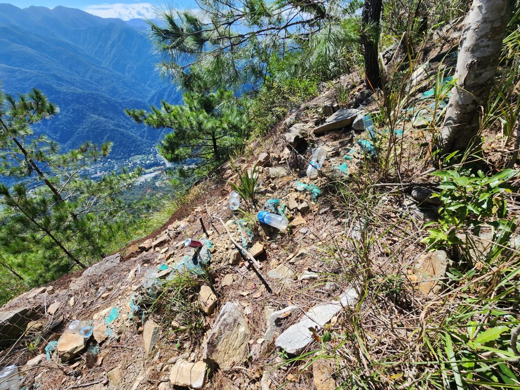 20241013東南稜上東卯山_2670990