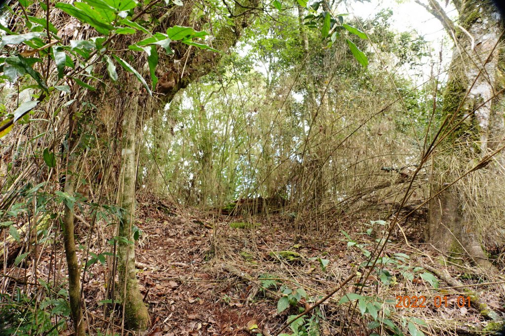 南投 仁愛 立鷹山_1569687