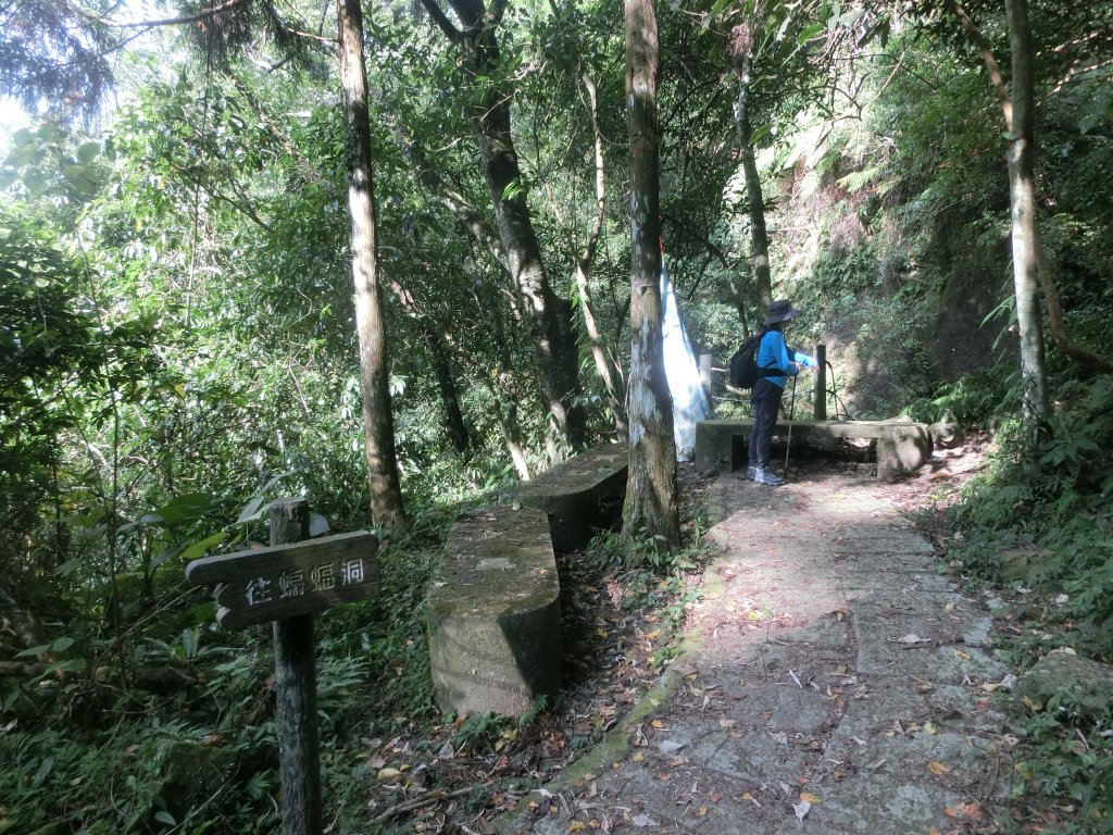 蝙蝠洞．觀音洞步道_733179