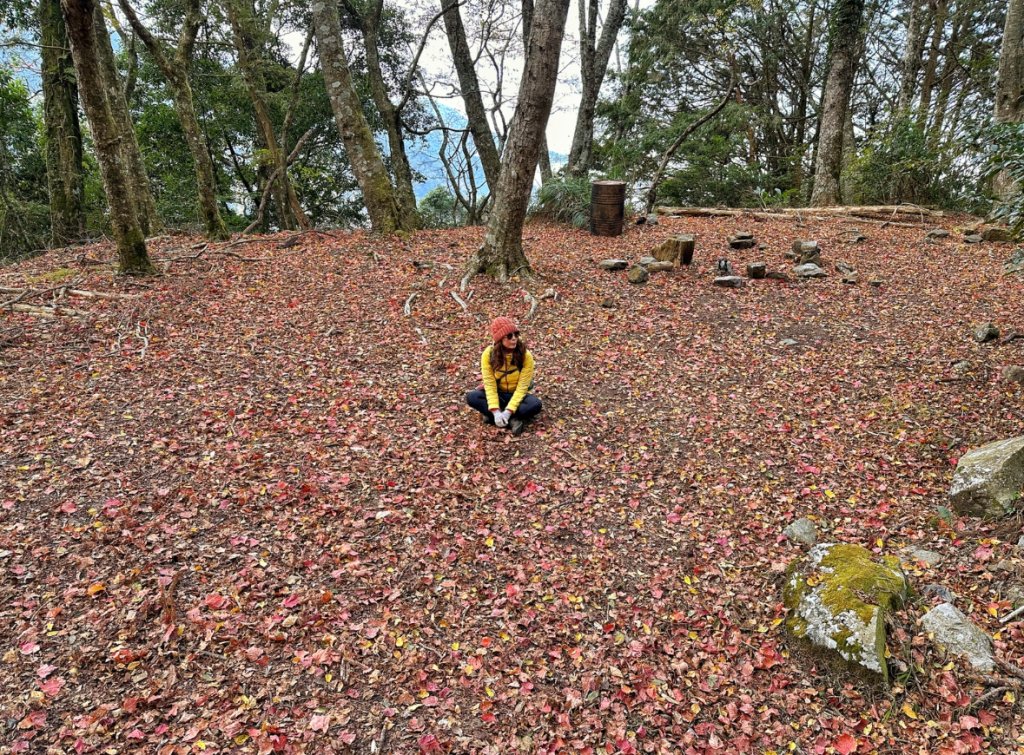大雪山 稍來山 烏石坑林道_2686504