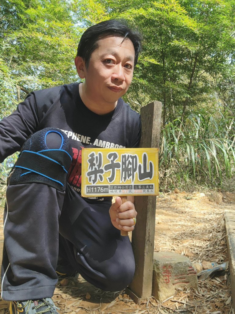 小百岳集起來-梨子腳山_2182946