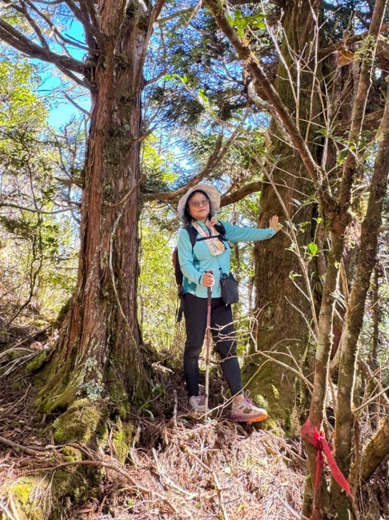 三星山(小百岳#85) 鳩之澤溫泉煮蛋趣_2952828