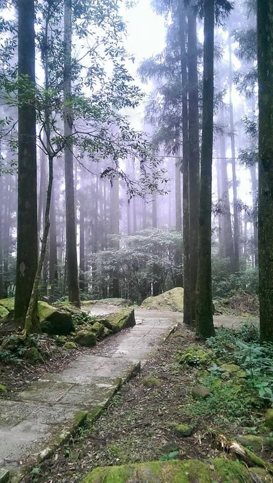 大凍山封面圖