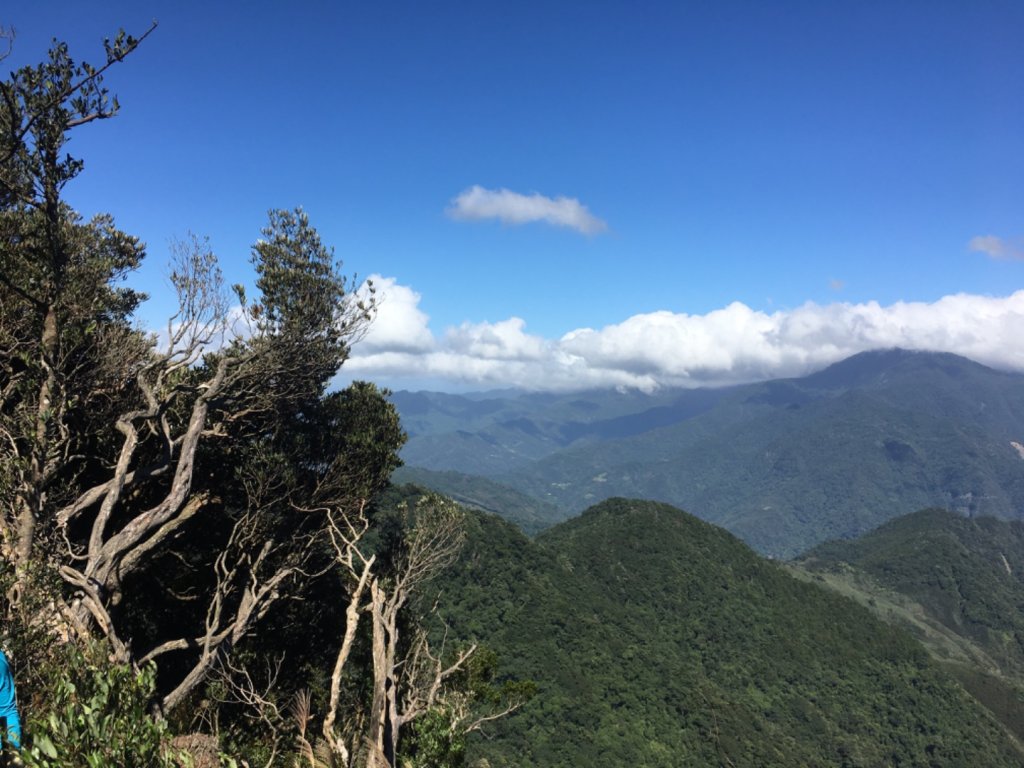 鳥結o. (內鳥嘴、那是山_2595897