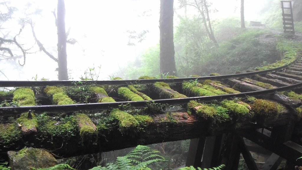 全球最美28條小路之一 ~ 見晴懷古步道_466960