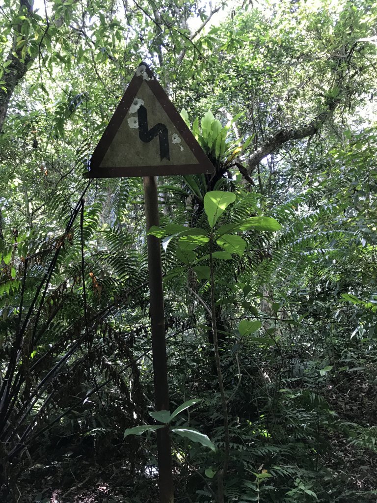 西坑林道-阿玉山-雙連埤109.7.17_1036047