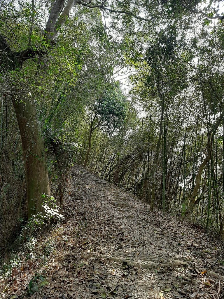 八通關古道社寮段_1276453