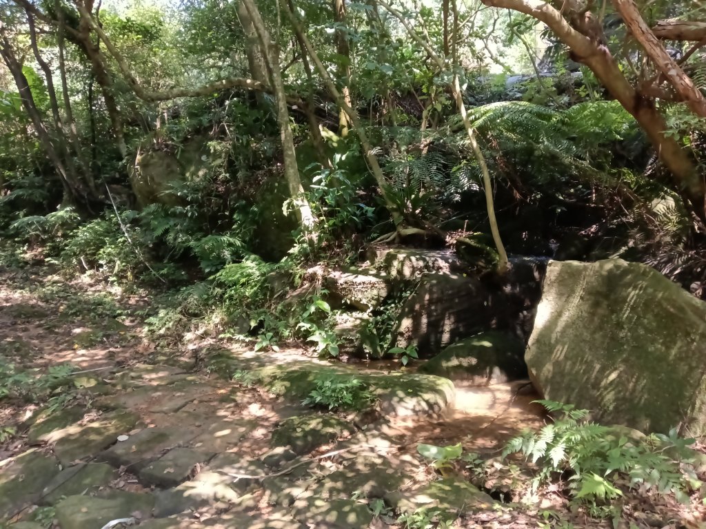 內湖區大丘田保甲路+開眼山+白石湖山+白石湖山東峰+大邱田山+消防山O型_2858889