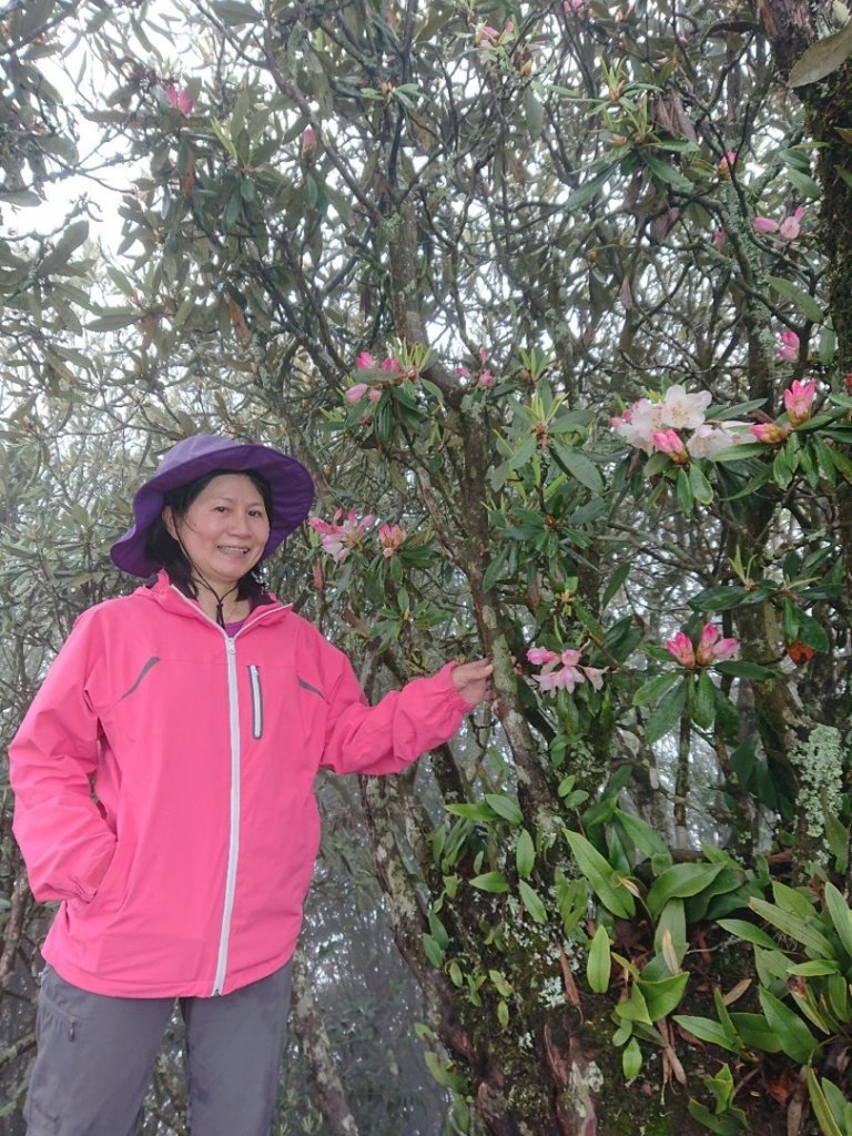 橫嶺山、鳶嘴山O 走_1660990