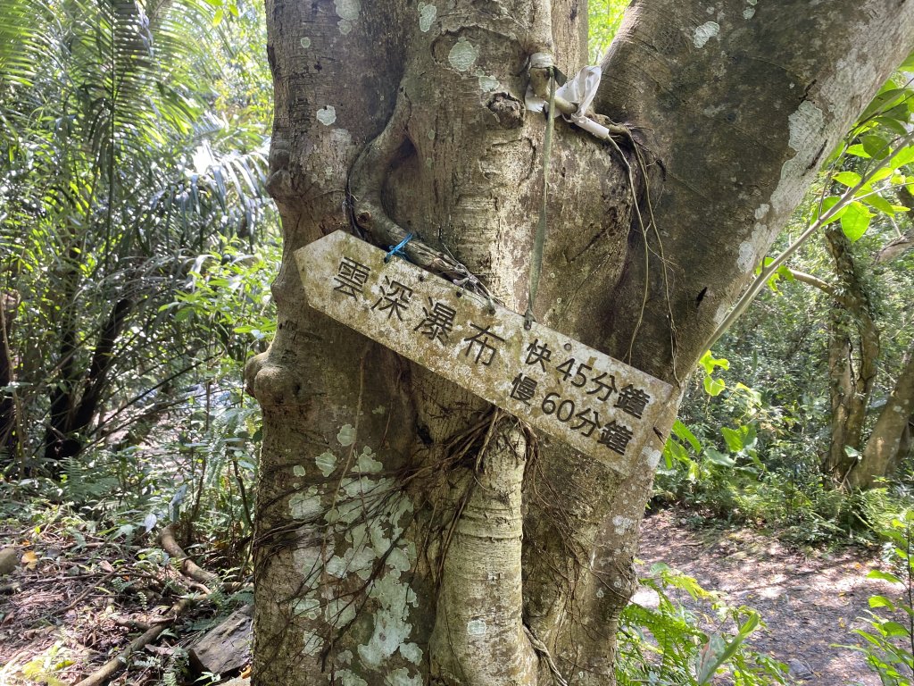 《探訪熊空秘境｜新北三峽雲森瀑布沁涼體驗》_2878461