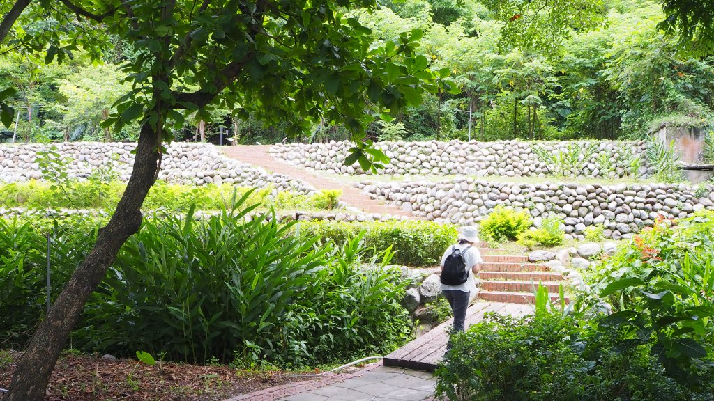 《台中》后里泰安登山步道20200614_996833