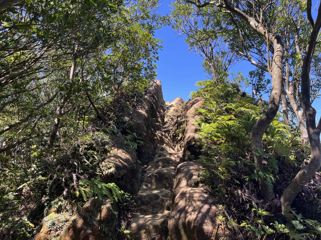 [微笑山線_第九段] 2025_0914 二格山系_天王峰_2889549