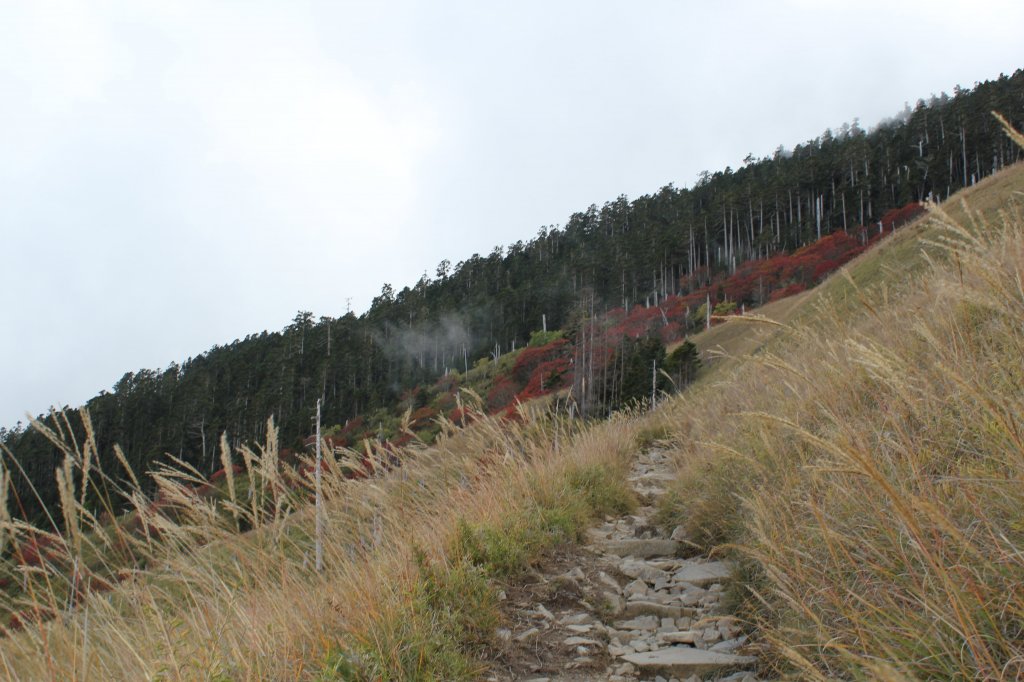 我的雪山視界_444897