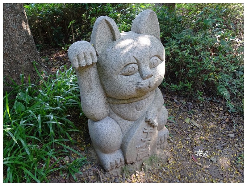 新竹/十八尖山步道_688950