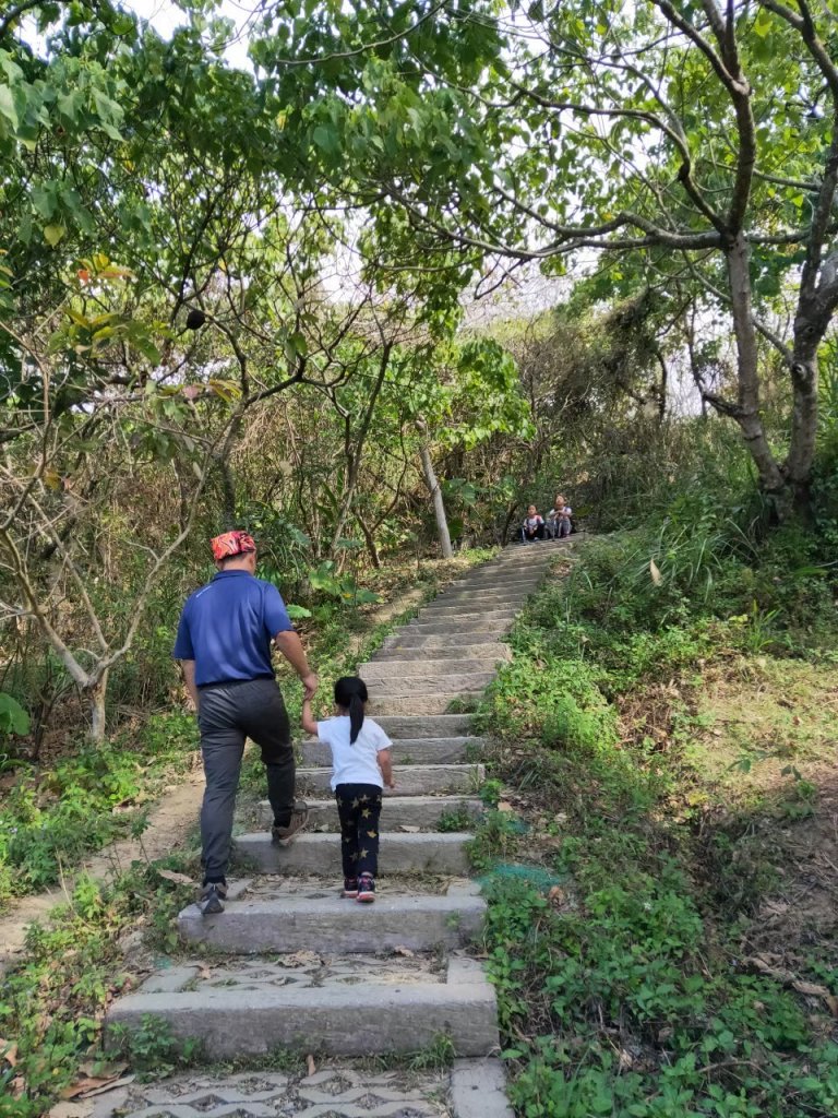 小百岳(43)-三汀山-20200123~【2020全家總動員~28分之03】_1716049